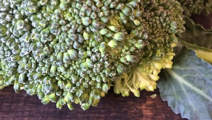 annette kocht-Broccoli