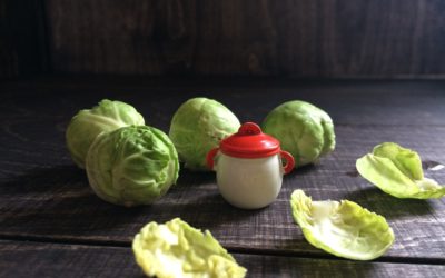 Rosenkohl – Auflauf