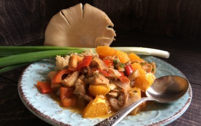 Wundertüte Austernpilze! Was diese Pilze so besonders macht.