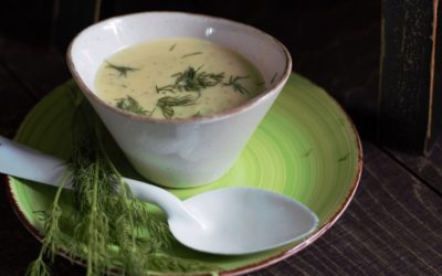 Gurkensuppe – Erstaunliches aus grünen Salatgewächsen