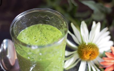 Grüner Smoothie – wie sich meine Einstellung änderte