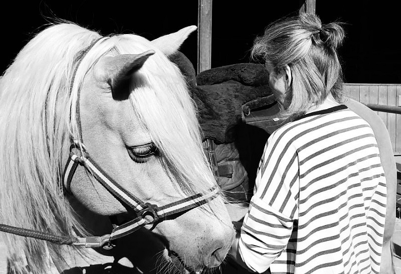 Therapeutisches Reiten – Nanni hilft mir mit MS zu leben